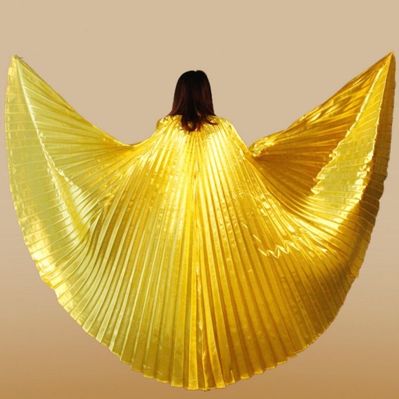 Gold Wings - Picture 3 of 6